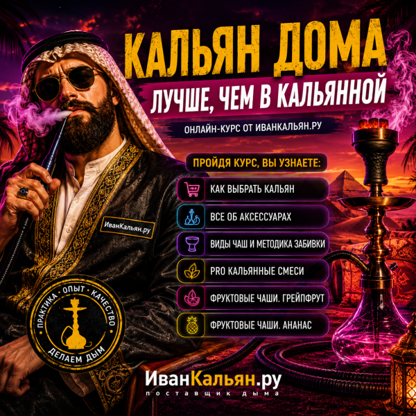 Онлайн-курс БАЗА в Воркуте