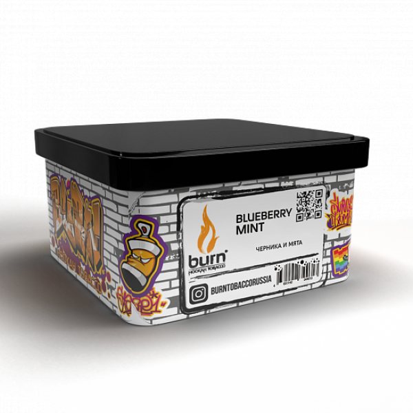 Табак BURN BLUEBERRY MINT 200 грамм в Воркуте