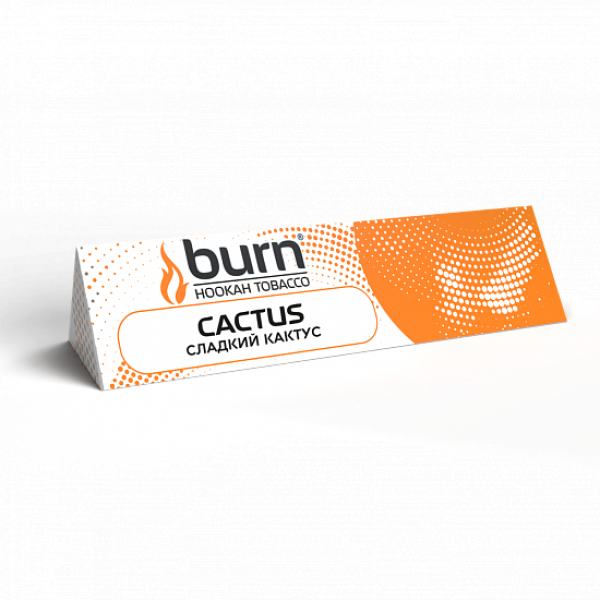 Табак BURN CACTUS 25 грамм в Воркуте