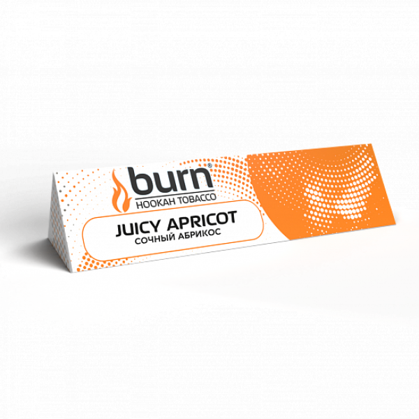 Табак BURN JUICY APRICOT 25 грамм в Воркуте