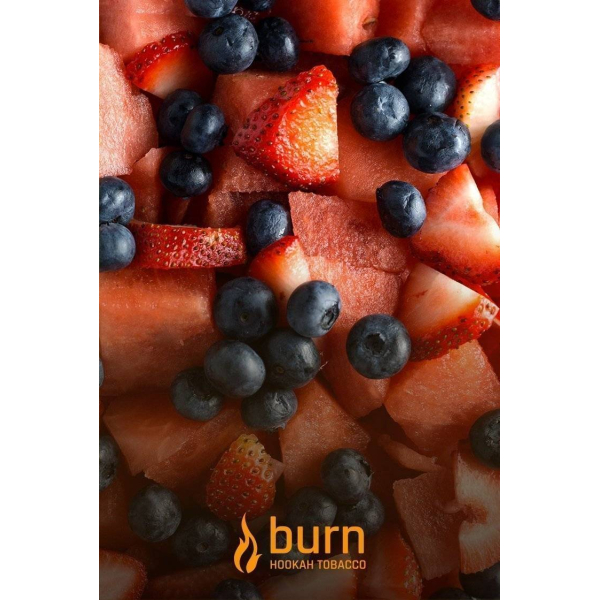 Табак Burn Berried Treasure 100 грамм в Воркуте