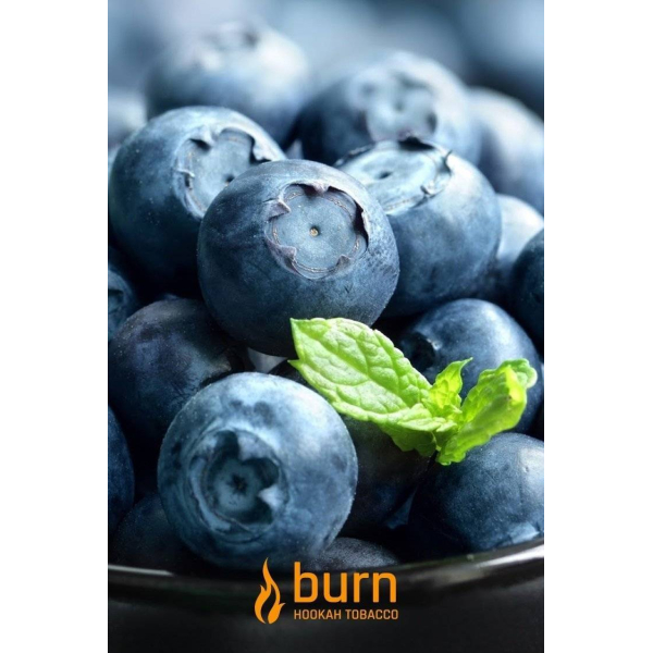 Табак Burn Blueberry Mint 100 грамм в Воркуте