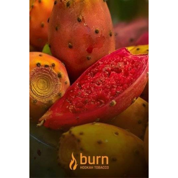Табак Burn Cactus 100 грамм в Воркуте