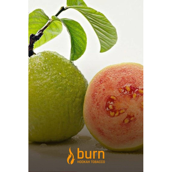 Табак Burn Guava 100 грамм в Воркуте