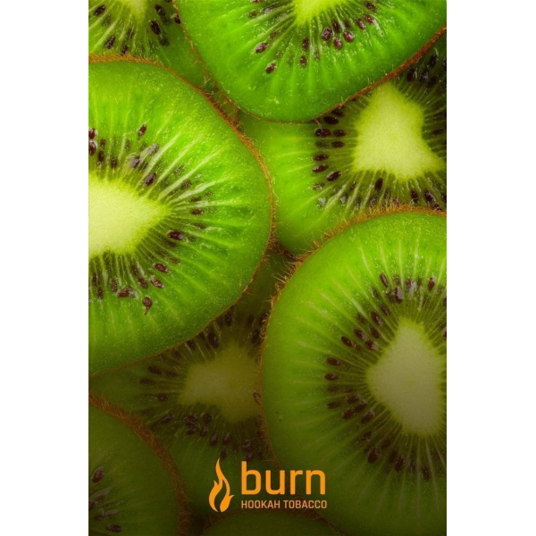 Табак Burn Kiwi 100 грамм в Воркуте