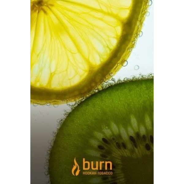 Табак Burn Kiwi Lemon 100 грамм в Воркуте