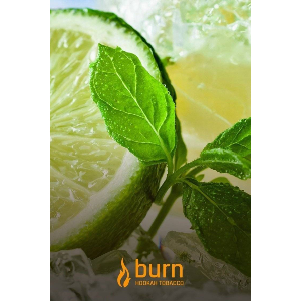 Табак Burn Lemon Mint 100 грамм в Воркуте