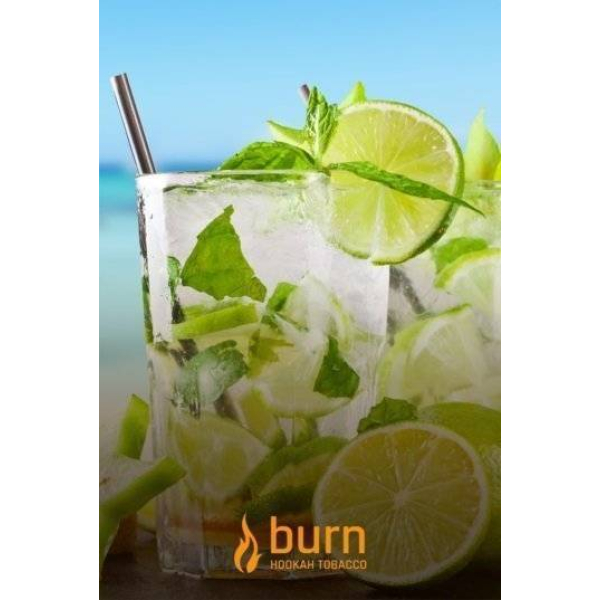 Табак Burn Mojito 100 грамм в Воркуте