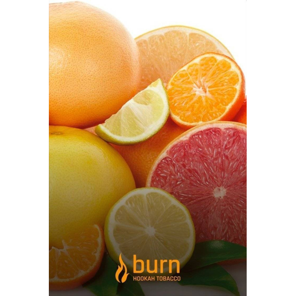 Табак Burn SundaySun 100 грамм в Воркуте