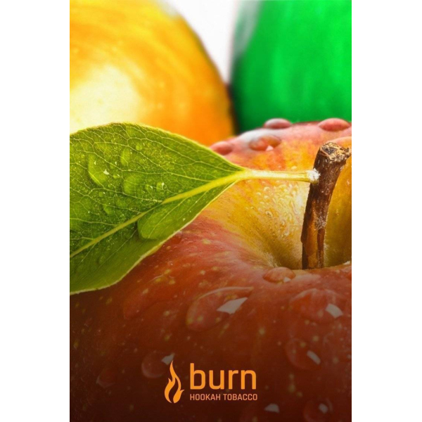 Табак Burn Three Apples 100 грамм в Воркуте