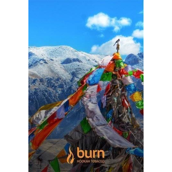 Табак Burn Tibet 100 грамм в Воркуте