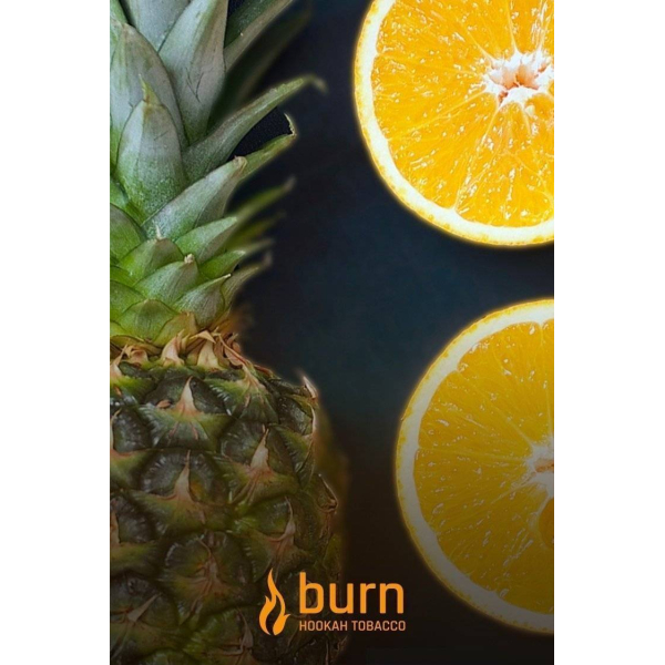 Табак Burn White Night 100 грамм в Воркуте