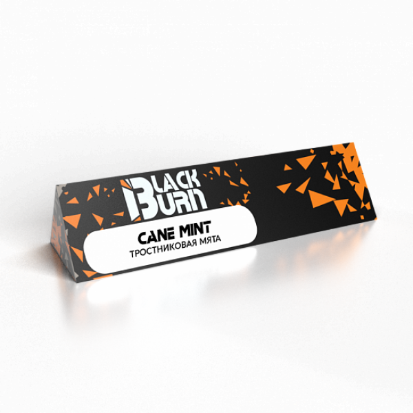 Табак BlackBurn Cane Mint 25 грамм в Воркуте