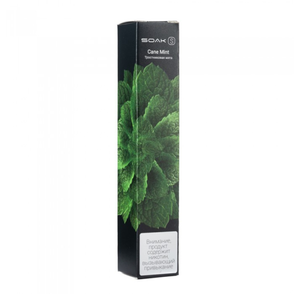 SOAK S Cane Mint (Тростниковая мята), 2500 тяг в Воркуте