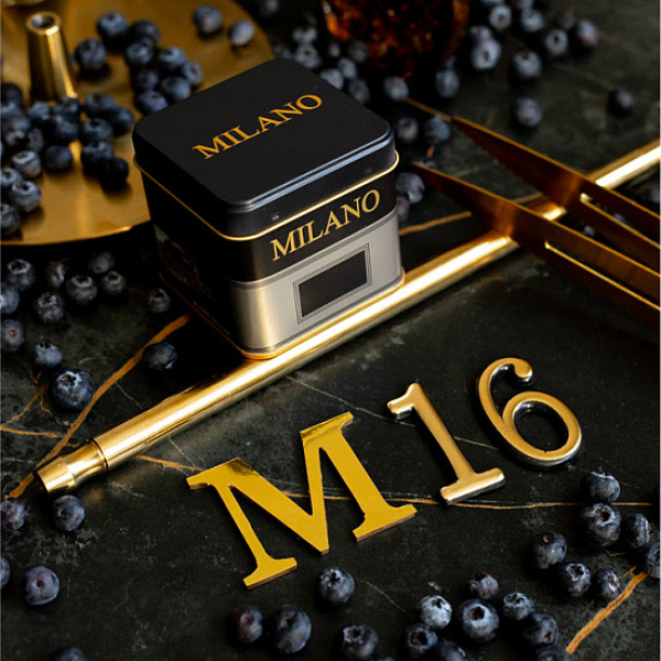 Табак MILANO GOLD М16 BILBERRY 100 гр в Воркуте