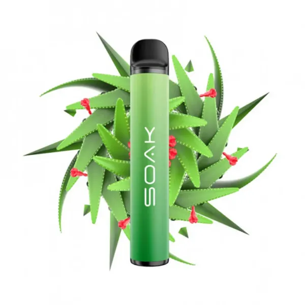 SOAK X Aloe Vera (Алое Вера), 1500 тяг в Воркуте