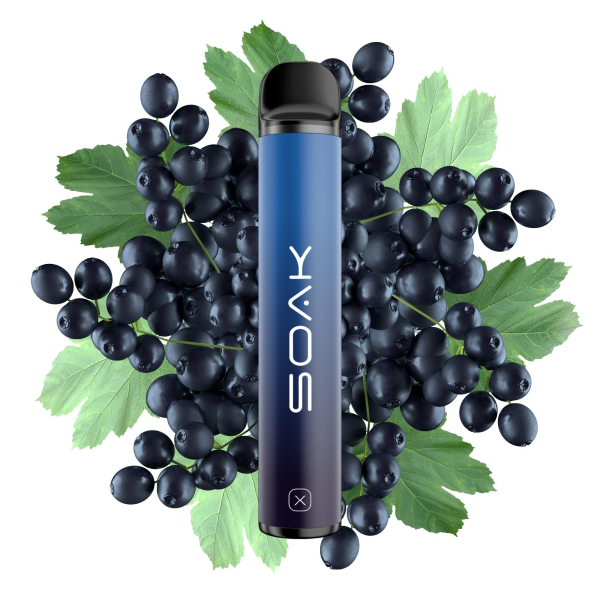 SOAK X Forest Blackcurrant (Лесная черная смородина), 1500 тяг в Воркуте