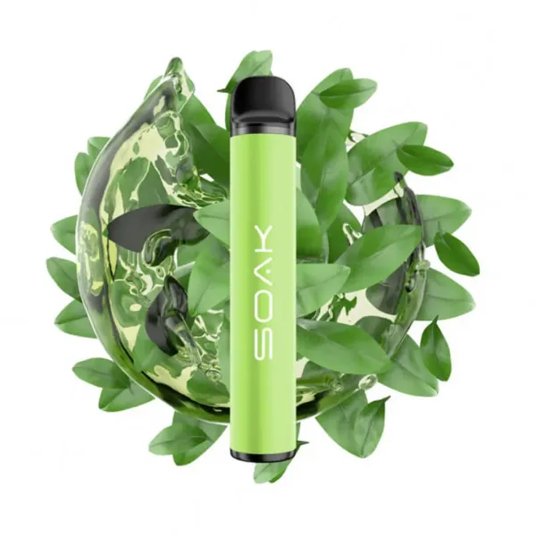 SOAK X Green Tea (Зеленый чай), 1500 тяг в Воркуте