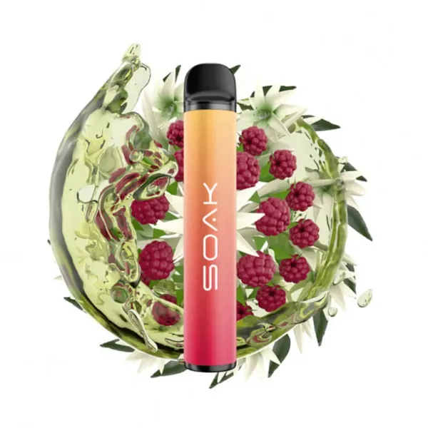 SOAK X Jasmin Raspberry Tea (Жасминовый чай с малиной), 1500 тяг в Воркуте