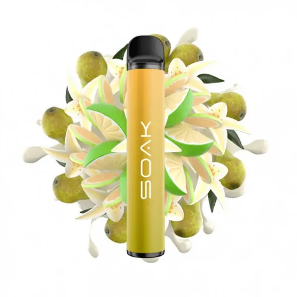 SOAK X Vanilla Pear (Ванильная груша с лаймом), 1500 тяг в Воркуте