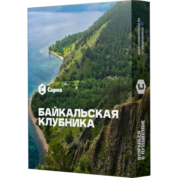 Табак Сарма Байкальская Клубника 25 гр в Воркуте