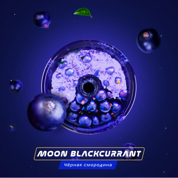 Паста Space Smoke BASIC Moon  Blackcurrant (Черная  смородина) 125 гр в Воркуте