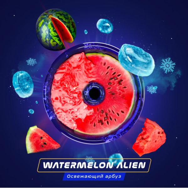 Паста Space Smoke BASIC Watermelon  Alien (Арбуз с  холодком) 125 гр в Воркуте