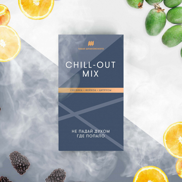Табак Шпаковского Chill Out (Ежевика Фейхоа Цитрусы) 40 грамм в Воркуте