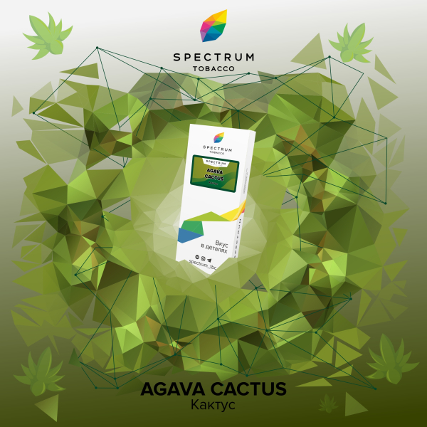 Табак Spectrum Classic Agava Cactus 100 грамм в Воркуте