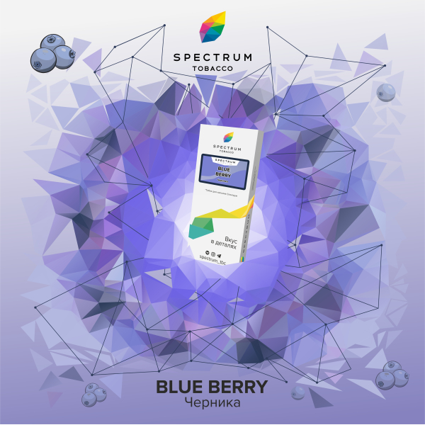 Табак Spectrum Classic Blue Berry 100 грамм в Воркуте