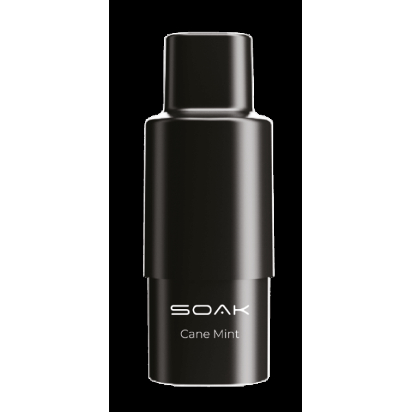 Картридж SOAK Q Тростниковая мята (1500 затяжек) в Воркуте