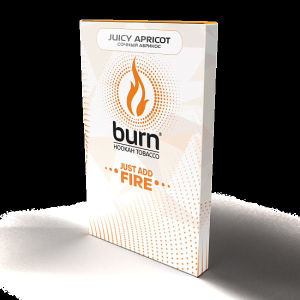 Табак Burn Juicy Apricot  100 грамм в Воркуте