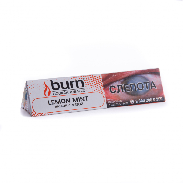 Табак Burn Lemon Mint  25 грамм в Воркуте